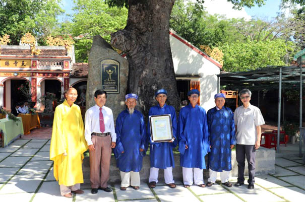 Cây[-]đầu[-]tiên[-]ở[-]thị[-]xã[-]Ninh[-]Hòa[-]được[-]công[-]nhận[-]Cây[-]di[-]sản[-]Việt[-]Nam